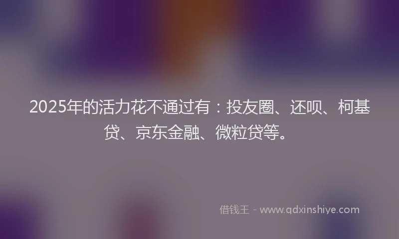 2025年的活力花不通过有：投友圈、还呗、柯基贷、京东金融、微粒贷等。