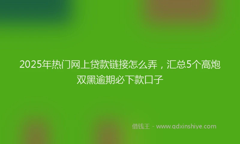 2025年热门网上贷款链接怎么弄，汇总5个高炮双黑逾期必下款口子