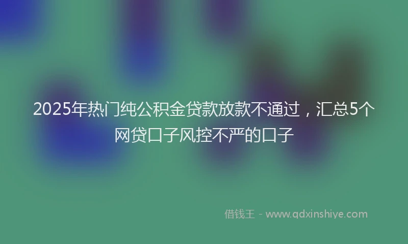 2025年热门纯公积金贷款放款不通过，汇总5个网贷口子风控不严的口子