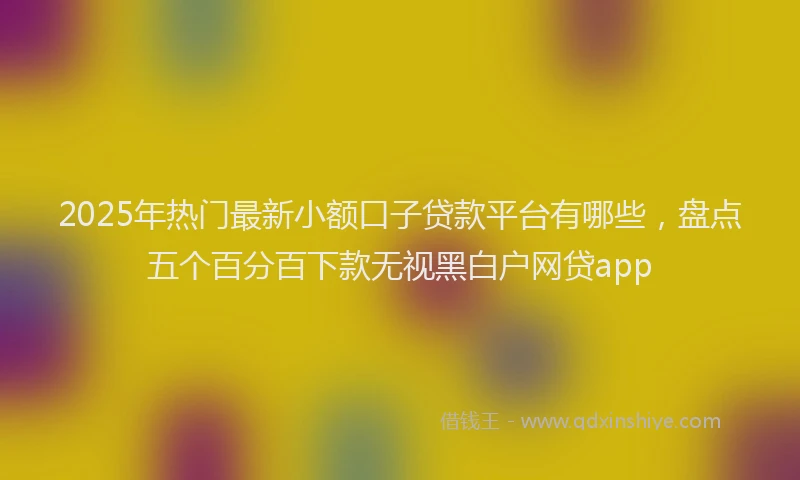 2025年热门最新小额口子贷款平台有哪些，盘点五个百分百下款无视黑白户网贷app