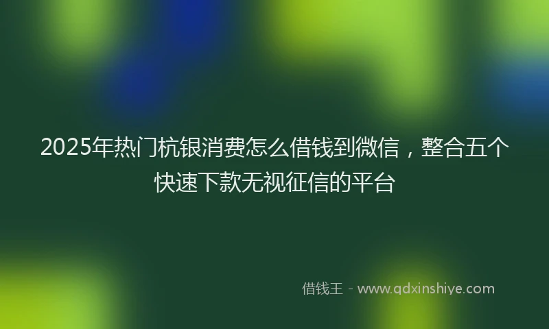2025年热门杭银消费怎么借钱到微信，整合五个快速下款无视征信的平台
