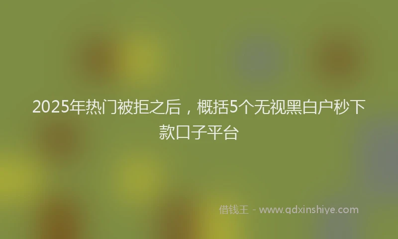2025年热门被拒之后，概括5个无视黑白户秒下款口子平台