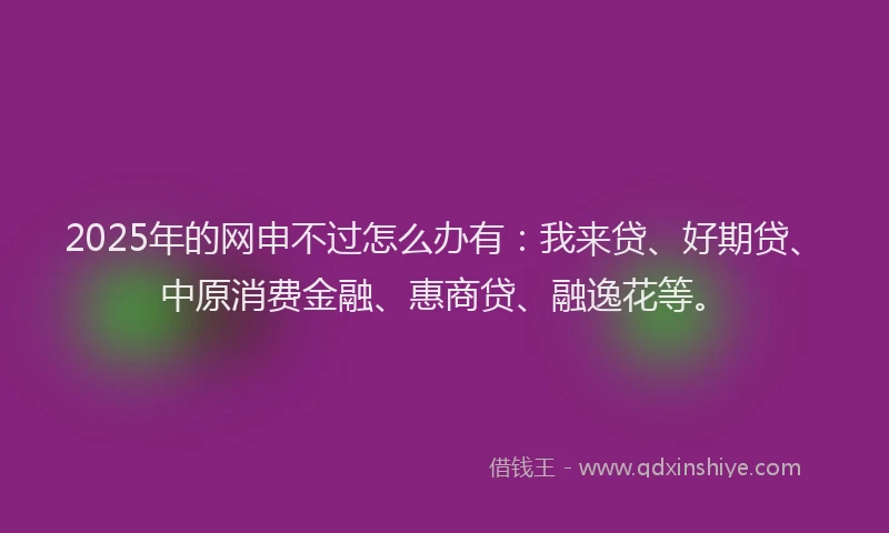 2025年的网申不过怎么办有：我来贷、好期贷、中原消费金融、惠商贷、融逸花等。