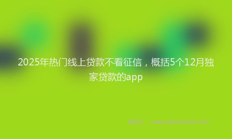 2025年热门线上贷款不看征信，概括5个12月独家贷款的app