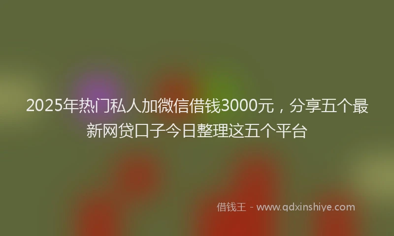 2025年热门私人加微信借钱3000元，分享五个最新网贷口子今日整理这五个平台