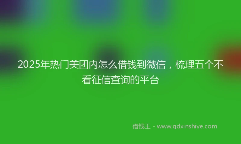 2025年热门美团内怎么借钱到微信，梳理五个不看征信查询的平台