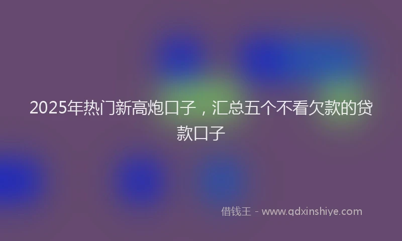 2025年热门新高炮口子，汇总五个不看欠款的贷款口子