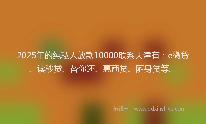 2025年的纯私人放款10000联系天津有：e微贷、读秒贷、替你还、惠商贷、随身贷等。