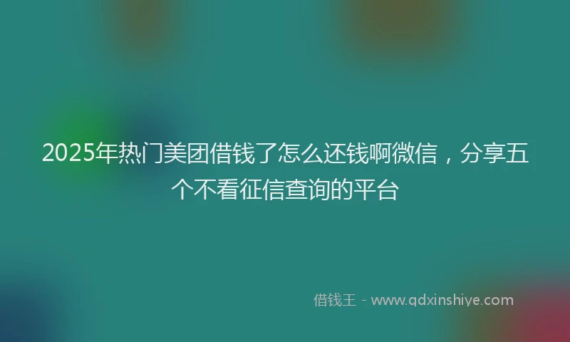 2025年热门美团借钱了怎么还钱啊微信，分享五个不看征信查询的平台