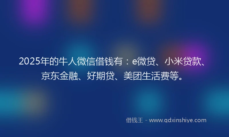 2025年的牛人微信借钱有：e微贷、小米贷款、京东金融、好期贷、美团生活费等。