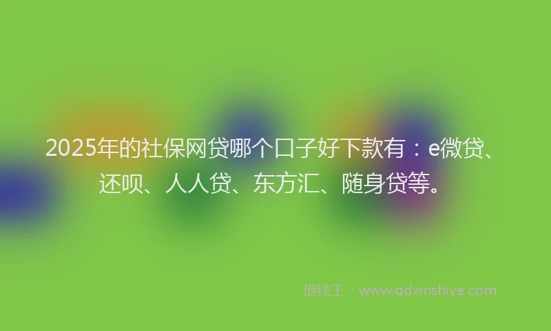 2025年的社保网贷哪个口子好下款有：e微贷、还呗、人人贷、东方汇、随身贷等。