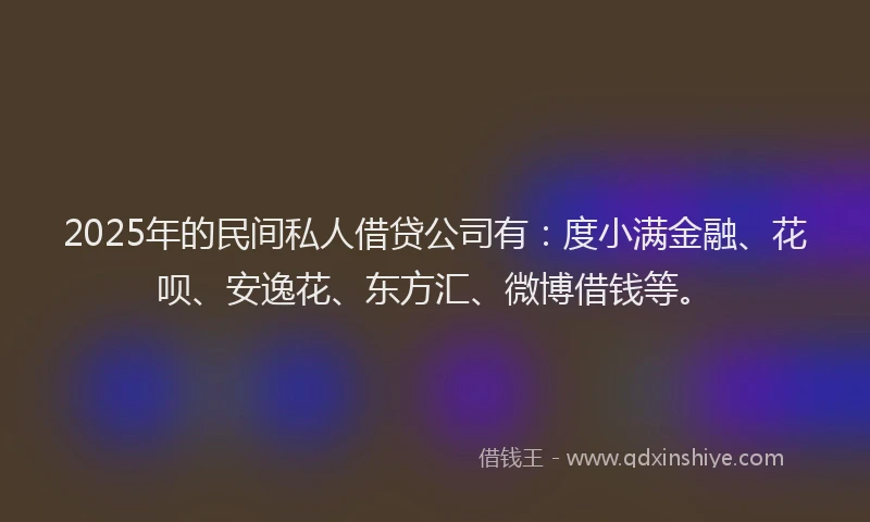 2025年的民间私人借贷公司有：度小满金融、花呗、安逸花、东方汇、微博借钱等。