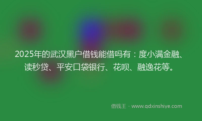 2025年的武汉黑户借钱能借吗有：度小满金融、读秒贷、平安口袋银行、花呗、融逸花等。