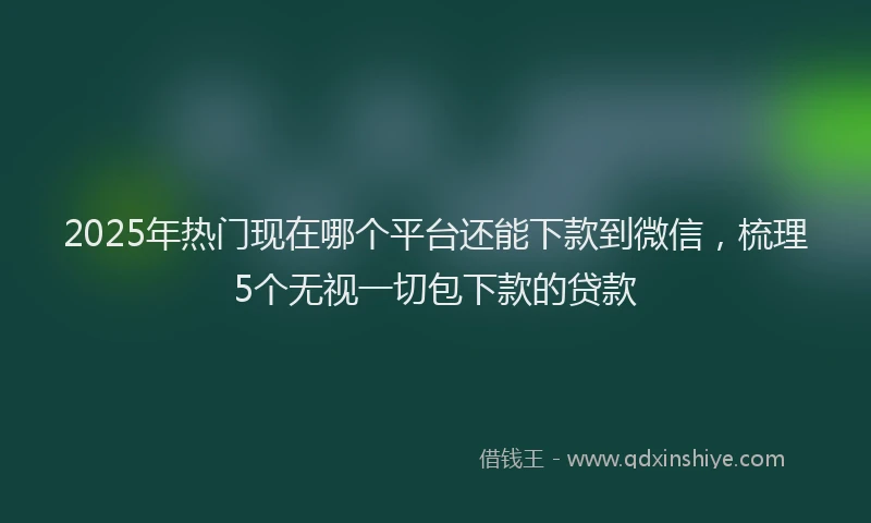 2025年热门现在哪个平台还能下款到微信，梳理5个无视一切包下款的贷款