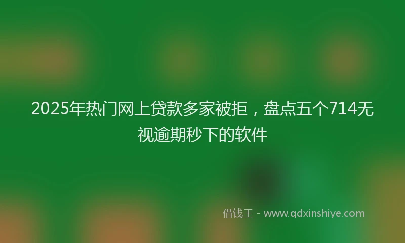2025年热门网上贷款多家被拒，盘点五个714无视逾期秒下的软件