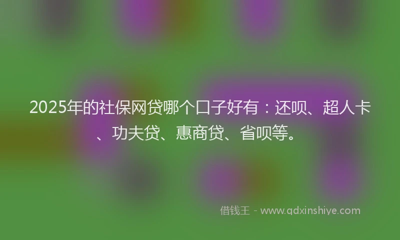 2025年的社保网贷哪个口子好有：还呗、超人卡、功夫贷、惠商贷、省呗等。