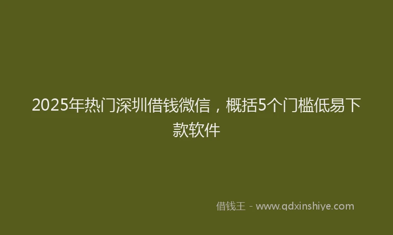 2025年热门深圳借钱微信，概括5个门槛低易下款软件