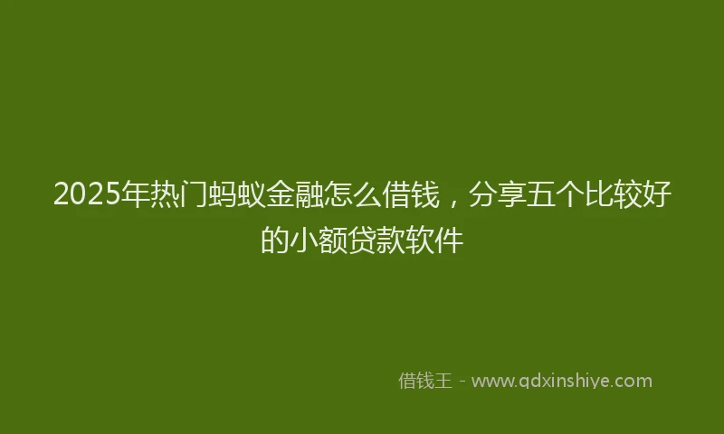 2025年热门蚂蚁金融怎么借钱，分享五个比较好的小额贷款软件