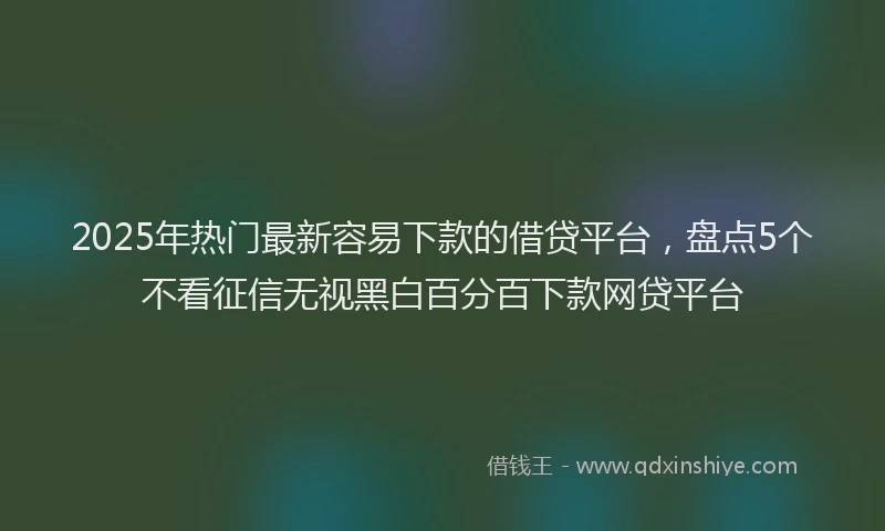 2025年热门最新容易下款的借贷平台，盘点5个不看征信无视黑白百分百下款网贷平台
