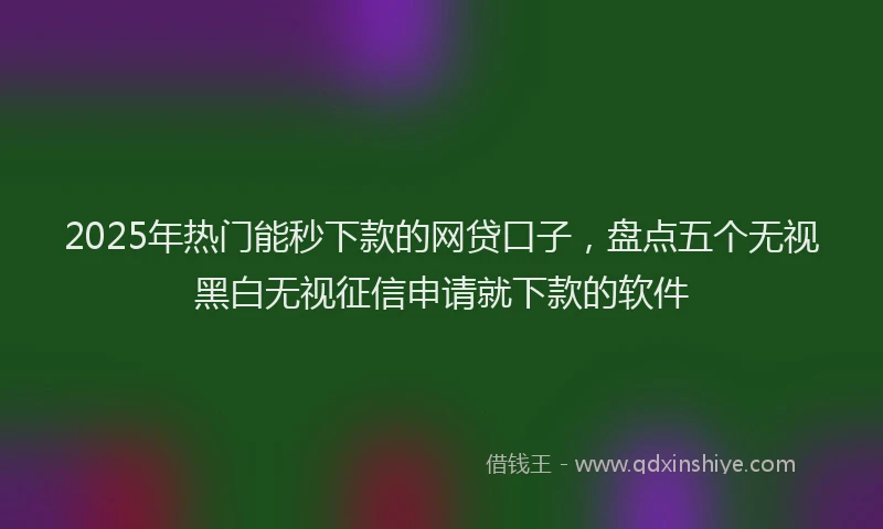 2025年热门能秒下款的网贷口子，盘点五个无视黑白无视征信申请就下款的软件