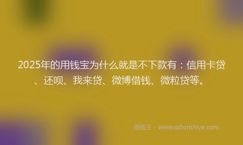 2025年的用钱宝为什么就是不下款有：信用卡贷、还呗、我来贷、微博借钱、微粒贷等。