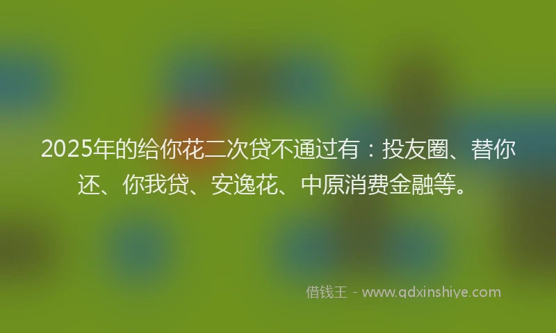 2025年的给你花二次贷不通过有：投友圈、替你还、你我贷、安逸花、中原消费金融等。