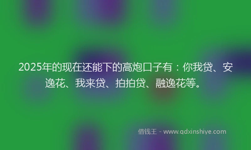 2025年的现在还能下的高炮口子有：你我贷、安逸花、我来贷、拍拍贷、融逸花等。