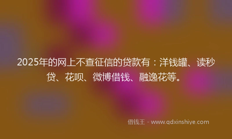 2025年的网上不查征信的贷款有：洋钱罐、读秒贷、花呗、微博借钱、融逸花等。