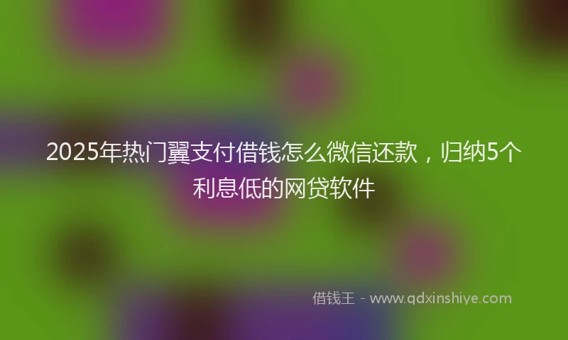 2025年热门翼支付借钱怎么微信还款，归纳5个利息低的网贷软件