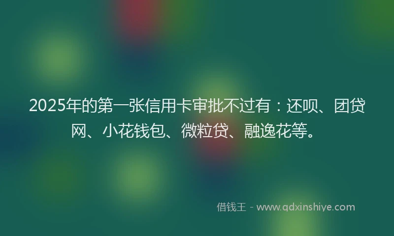 2025年的第一张信用卡审批不过有：还呗、团贷网、小花钱包、微粒贷、融逸花等。