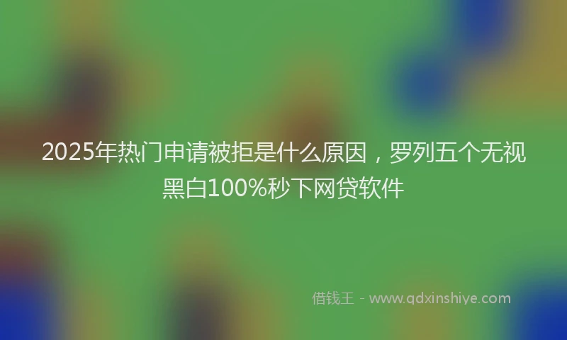 2025年热门申请被拒是什么原因，罗列五个无视黑白100%秒下网贷软件