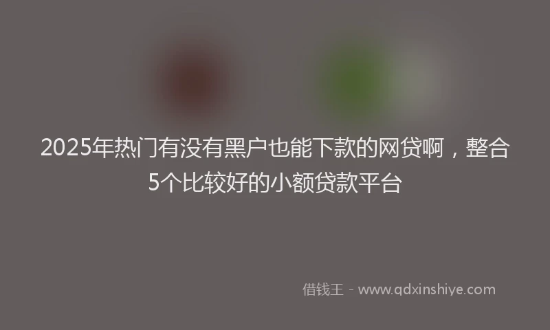 2025年热门有没有黑户也能下款的网贷啊，整合5个比较好的小额贷款平台