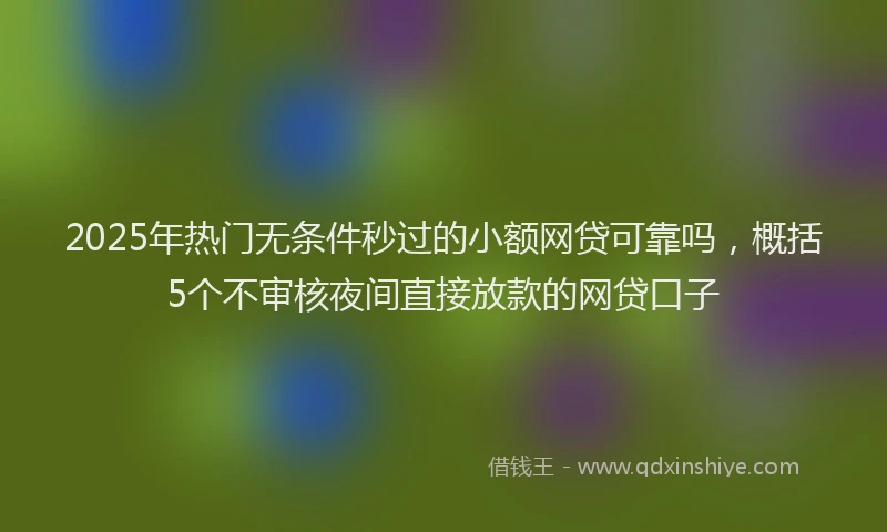 2025年热门无条件秒过的小额网贷可靠吗，概括5个不审核夜间直接放款的网贷口子