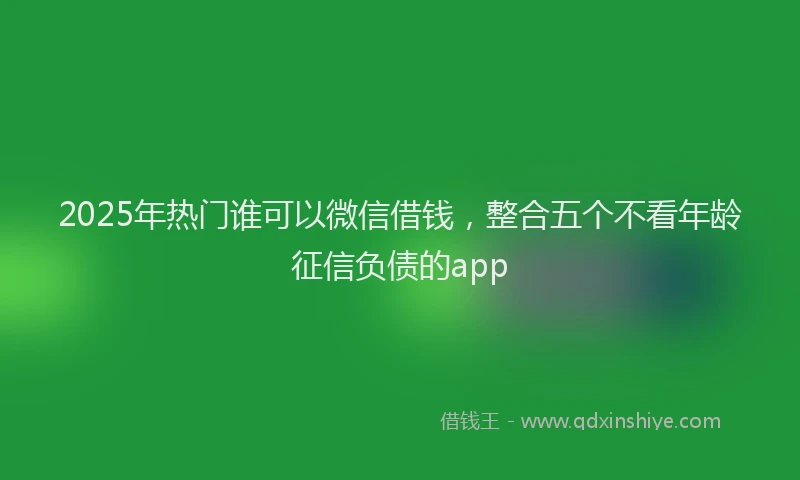 2025年热门谁可以微信借钱，整合五个不看年龄征信负债的app