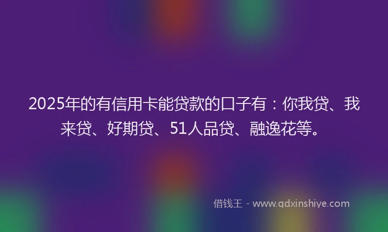 2025年的有信用卡能贷款的口子有：你我贷、我来贷、好期贷、51人品贷、融逸花等。