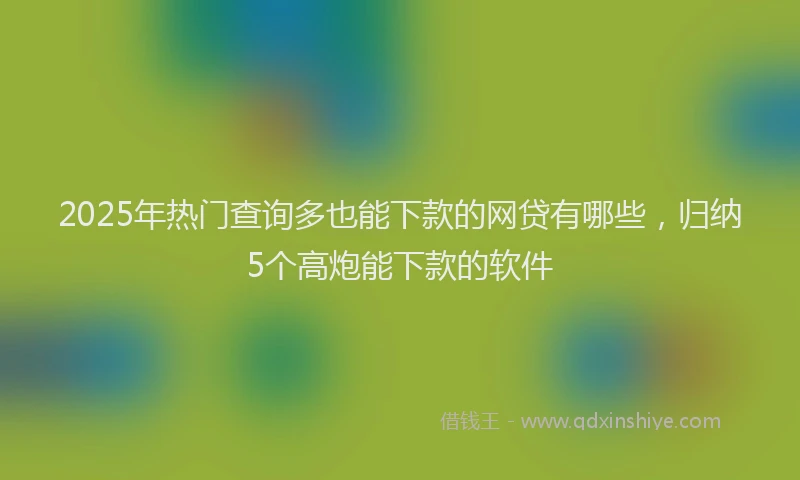 2025年热门查询多也能下款的网贷有哪些，归纳5个高炮能下款的软件