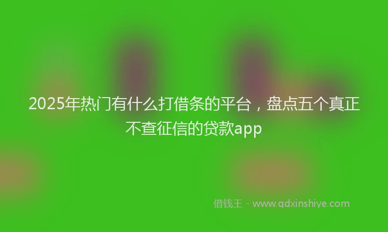 2025年热门有什么打借条的平台，盘点五个真正不查征信的贷款app