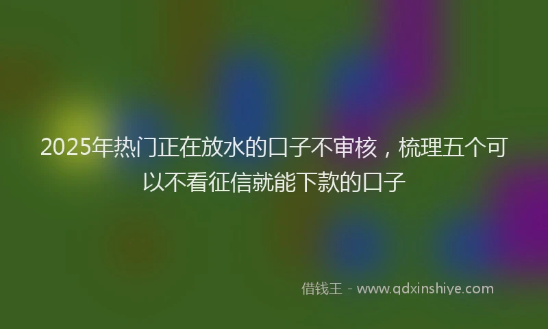 2025年热门正在放水的口子不审核，梳理五个可以不看征信就能下款的口子