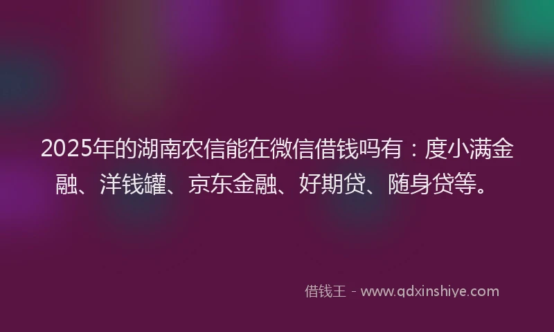 2025年的湖南农信能在微信借钱吗有：度小满金融、洋钱罐、京东金融、好期贷、随身贷等。