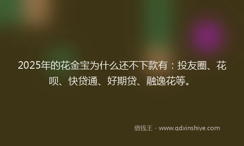 2025年的花金宝为什么还不下款有：投友圈、花呗、快贷通、好期贷、融逸花等。