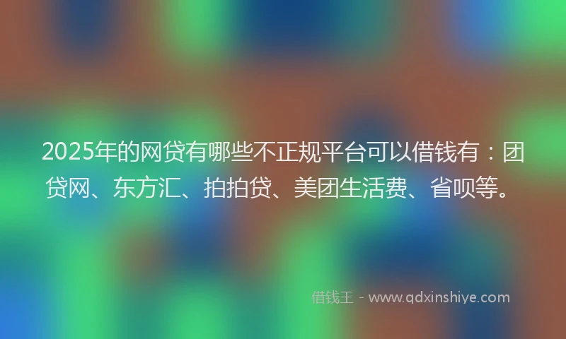 2025年的网贷有哪些不正规平台可以借钱有：团贷网、东方汇、拍拍贷、美团生活费、省呗等。