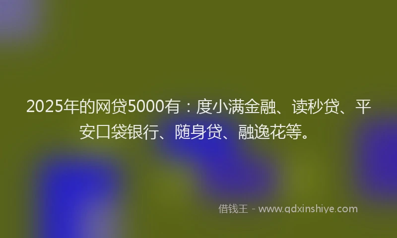 2025年的网贷5000有：度小满金融、读秒贷、平安口袋银行、随身贷、融逸花等。