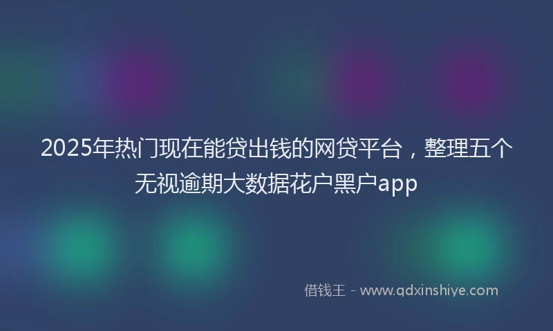 2025年热门现在能贷出钱的网贷平台，整理五个无视逾期大数据花户黑户app