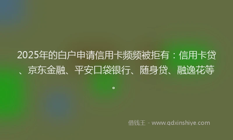 2025年的白户申请信用卡频频被拒有：信用卡贷、京东金融、平安口袋银行、随身贷、融逸花等。