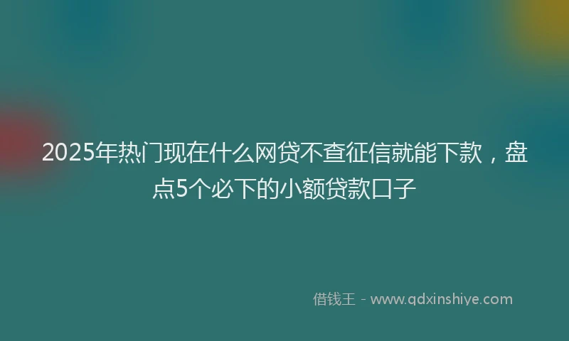 2025年热门现在什么网贷不查征信就能下款，盘点5个必下的小额贷款口子