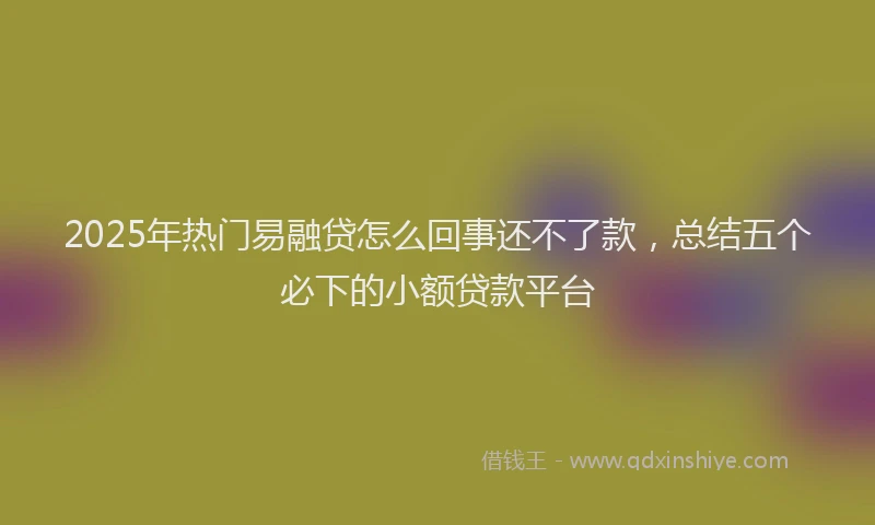 2025年热门易融贷怎么回事还不了款，总结五个必下的小额贷款平台