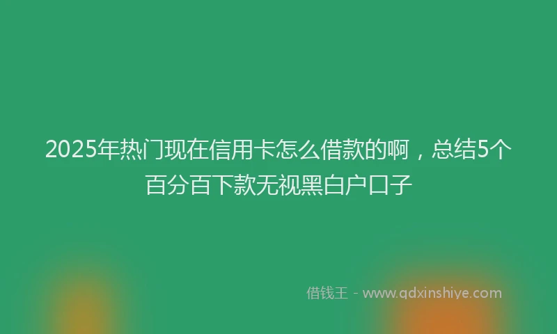 2025年热门现在信用卡怎么借款的啊，总结5个百分百下款无视黑白户口子