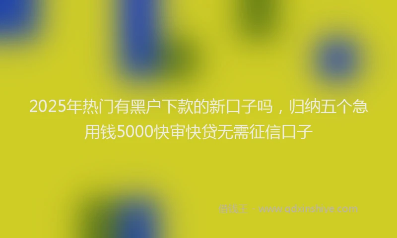 2025年热门有黑户下款的新口子吗，归纳五个急用钱5000快审快贷无需征信口子