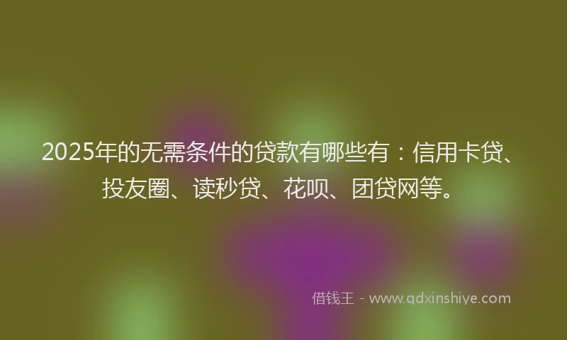 2025年的无需条件的贷款有哪些有：信用卡贷、投友圈、读秒贷、花呗、团贷网等。