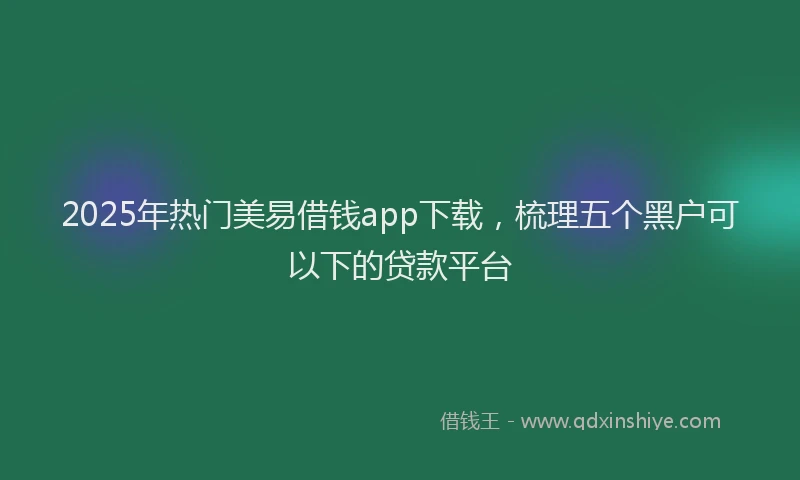 2025年热门美易借钱app下载，梳理五个黑户可以下的贷款平台